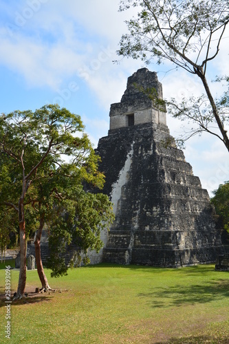 Site Archéologique de Tikal Peten Guatemala