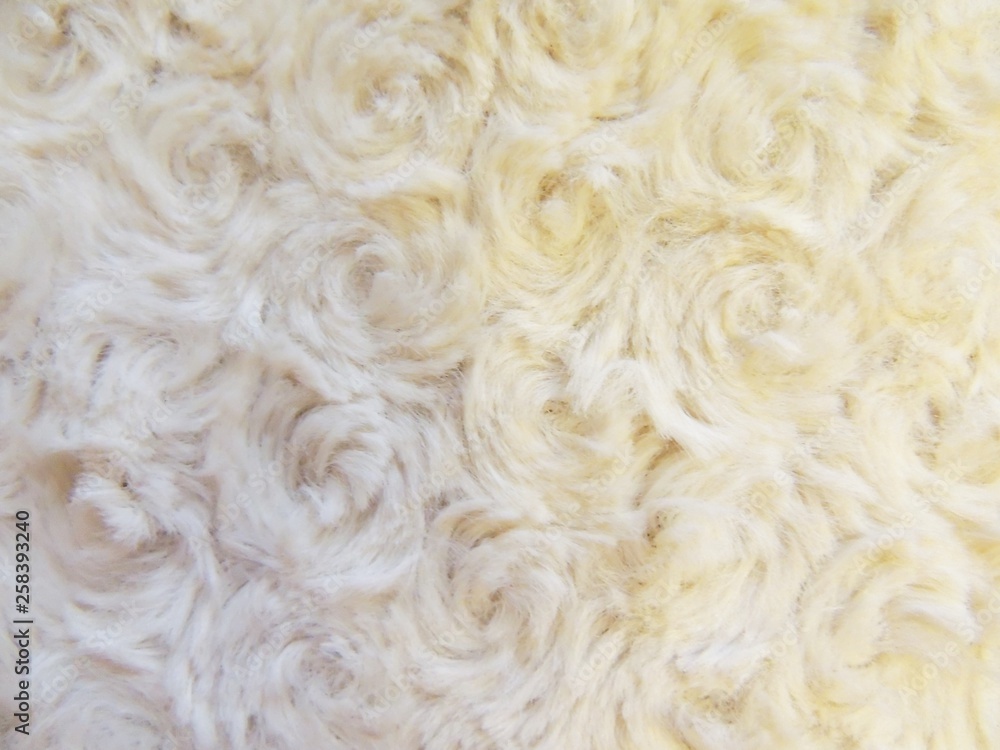 closeup of texture closeup of texture