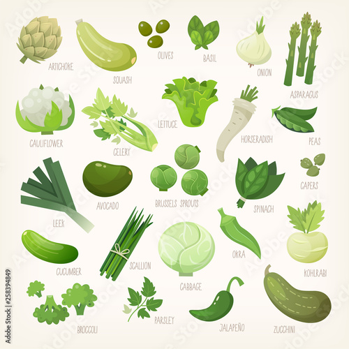 Variety of green and white common farm and exotic fruit and vegetables. List of plants from grocery store with their market names. Isolated vector icons. 