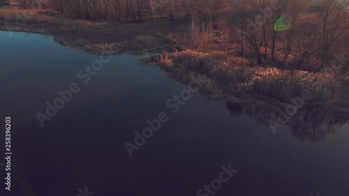 Panorama view of trees on the riverbank