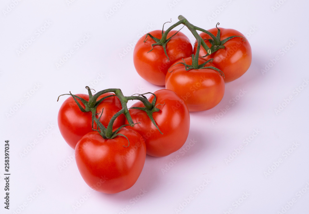 red tomatoes on a twig isolated on white background red tomatoes on a twig isolated on white background