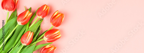 Fototapeta Naklejka Na Ścianę i Meble -  Red tulips flowers on pink background