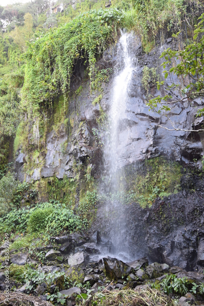 Obraz premium Anse des cascades, La Réunion