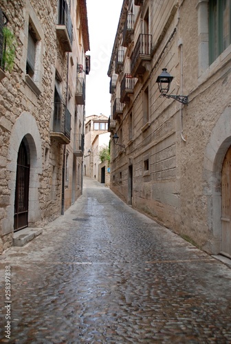 Girona street after the rain © Дина Попова
