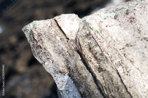 Iceland Diamond Beach Ice close-up
