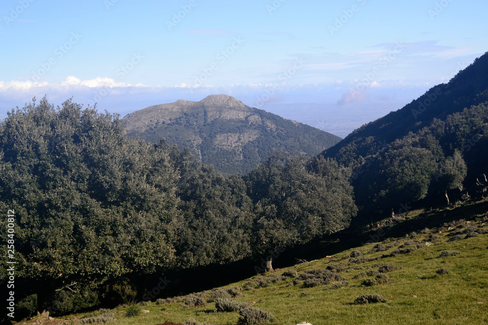 Naklejka premium Monte Margiani visto da Punta Santu Miali