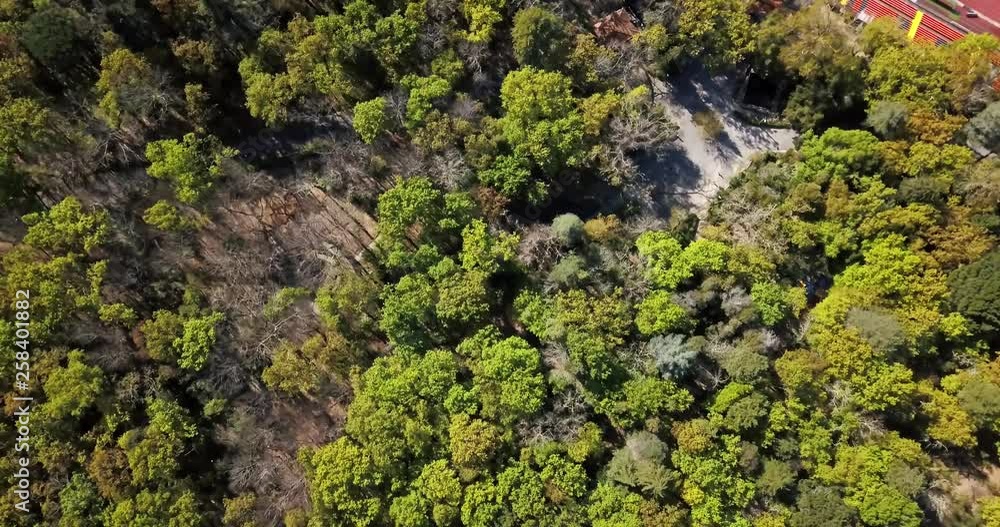 Aerial view by drone, with Fontelo municipal public Park, forest top view, in Viseu, Portugal Aerial view by drone, with Fontelo municipal public Park, forest top view, in Viseu, Portugal