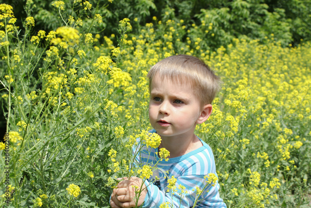 inquisitive boy exploring nature on a summer day inquisitive boy exploring nature on a summer day