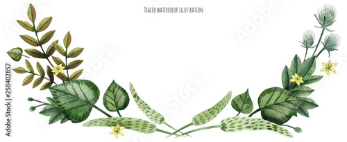 Wild Plants hand painted watercolor arc