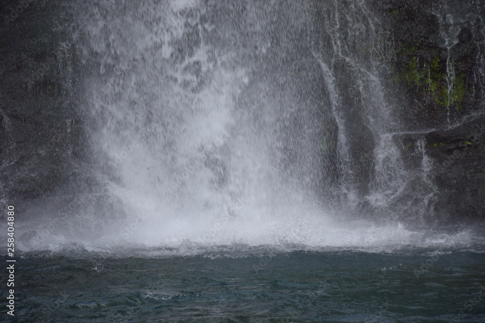 Fototapeta premium Bassin des aigrettes, la réunion