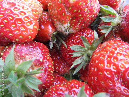 Strawberry fruit-piece