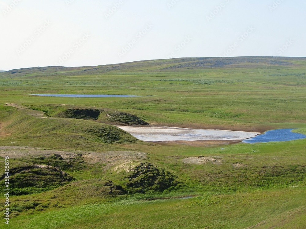 Lake in the summer tundra. Photo of the landscape in the tundra.