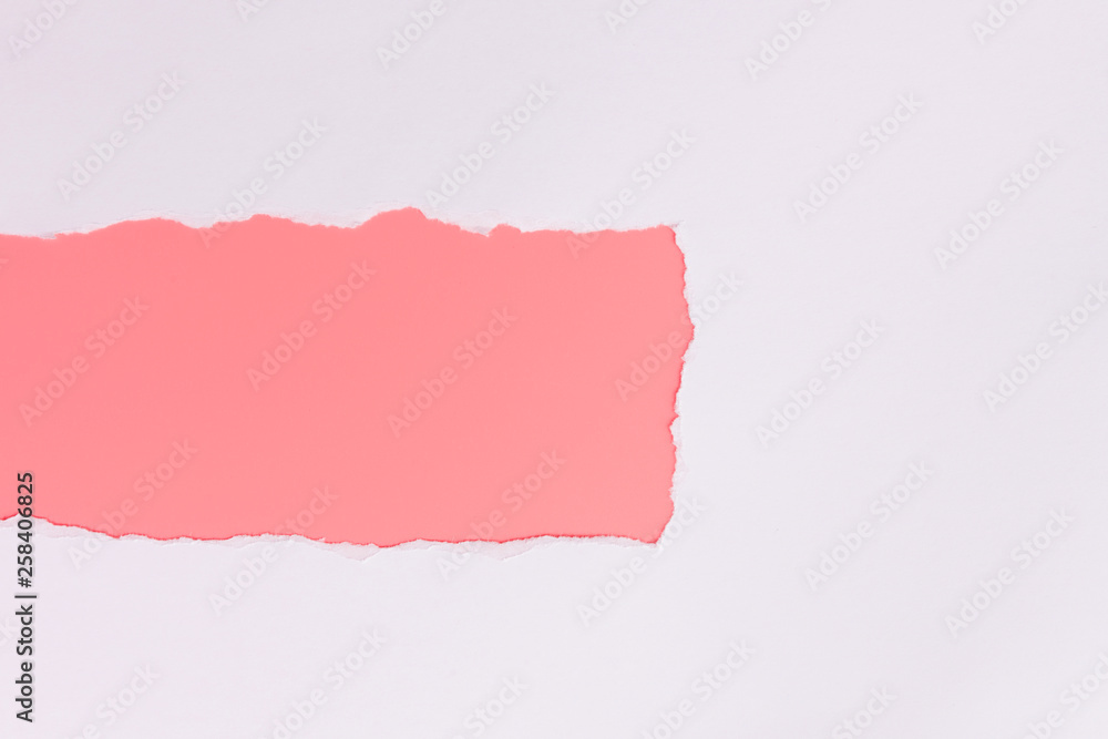 White torn paper over pink background White torn paper over pink background