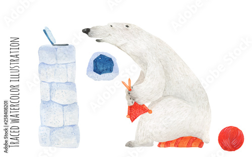 Polar Bear Knit at the laptop