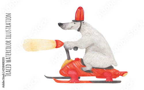 Polar bear on the red snow-bike