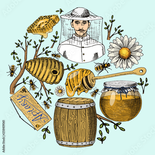 Honey waxing bee and beehive flyer. Poster organic honey and apiary, beehive and chamomile dessert nutrition vector illustration.