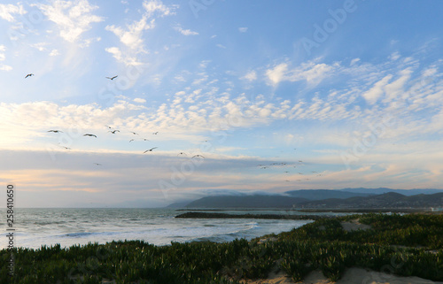 Surfers Knoll beach in Ventura at Sunset © Stefany Hedman
