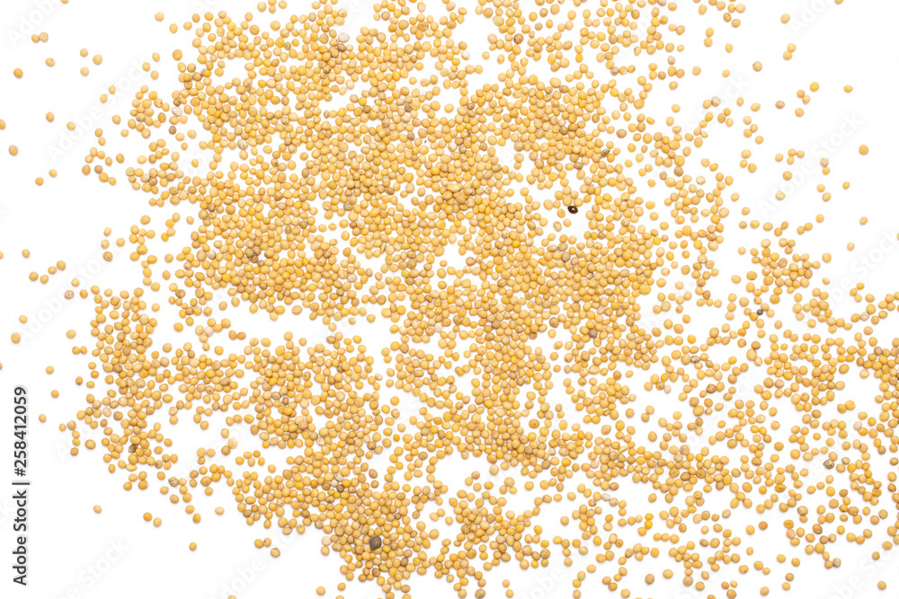 Lot of whole small white mustard seeds copyspace flatlay isolated on white background Lot of whole small white mustard seeds copyspace flatlay isolated on white background