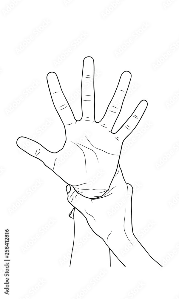 Fototapeta premium Vector sketch illustration - women's hands.