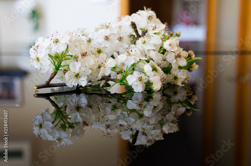 Fototapeta Naklejka Na Ścianę i Meble -  Decorative flowers