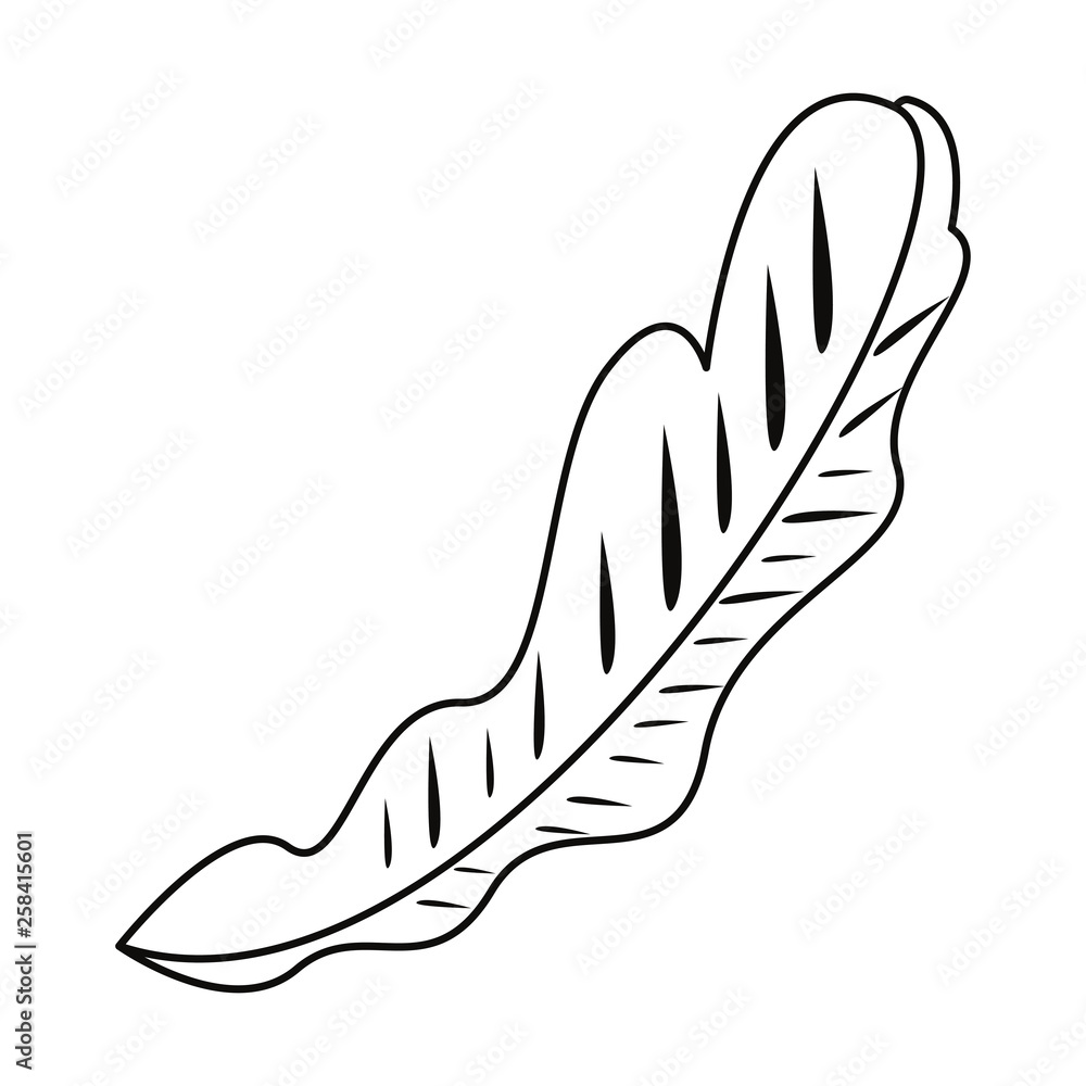 leave nature outline leave nature outline