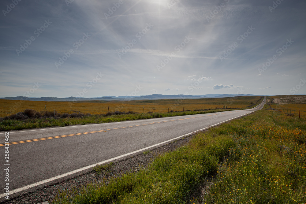 Fototapeta premium Vast Road