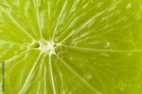 A slice of lime is a large species.