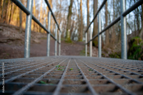 Wald Brücke Background Textur Focus