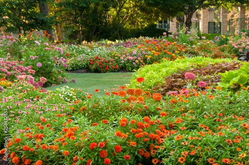 Blooming Garden in the Dallas Arboretum