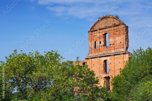 Castle ruins in Korets photo