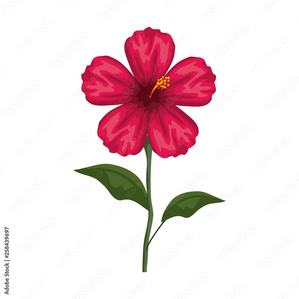 beautiful flower decorative icon beautiful flower decorative icon