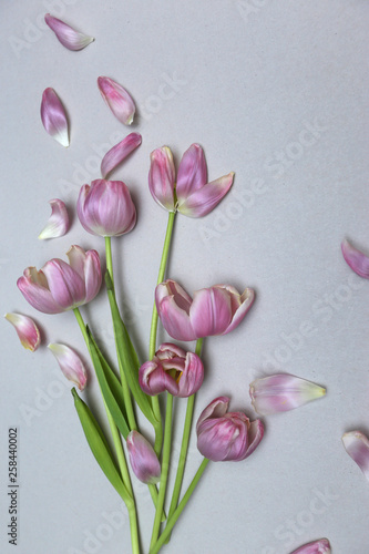 Fototapeta Naklejka Na Ścianę i Meble -  Faded pink tulips. Vintage background for design.