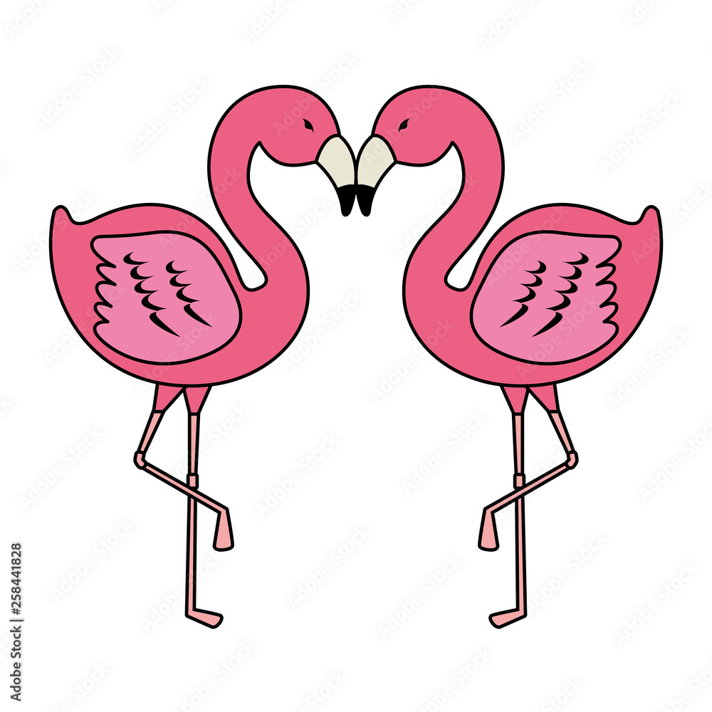 Obraz premium elegant flamingos birds couple