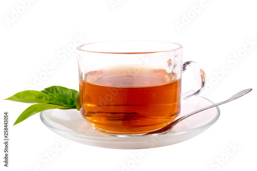 cup with tea and green leaf