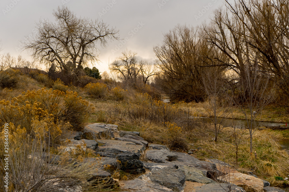 A brown dry landscape some mood of the fall and perfect for nature background A brown dry landscape some mood of the fall and perfect for nature background