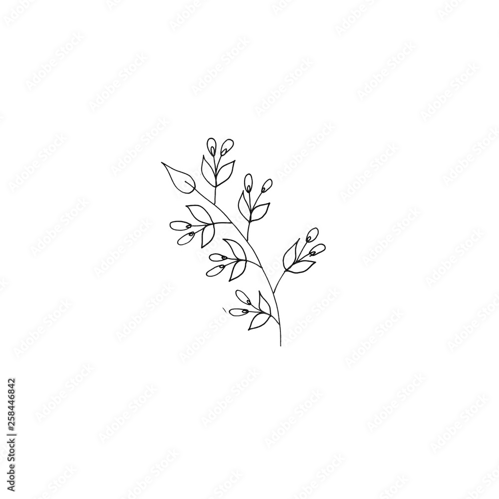 Black and white graphic hand-drawn floral illustration for your print logo postcard design. Black and white graphic hand-drawn floral illustration for your print logo postcard design.