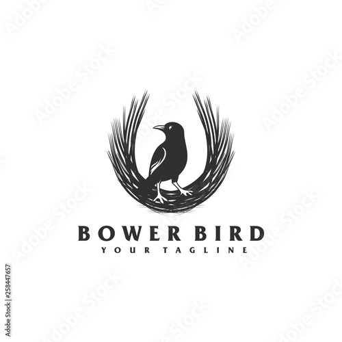 Fotobehang bower bird logo design.