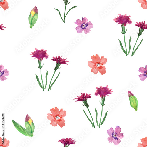 Fototapeta Naklejka Na Ścianę i Meble -  watercolor seamless pattern with wild flowers on a white background. great for textile design, invitations, cards, posters