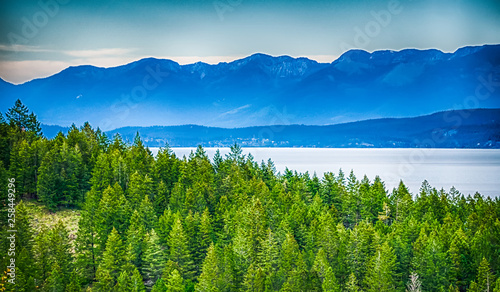nature and scenes around flathead national forest montana photo