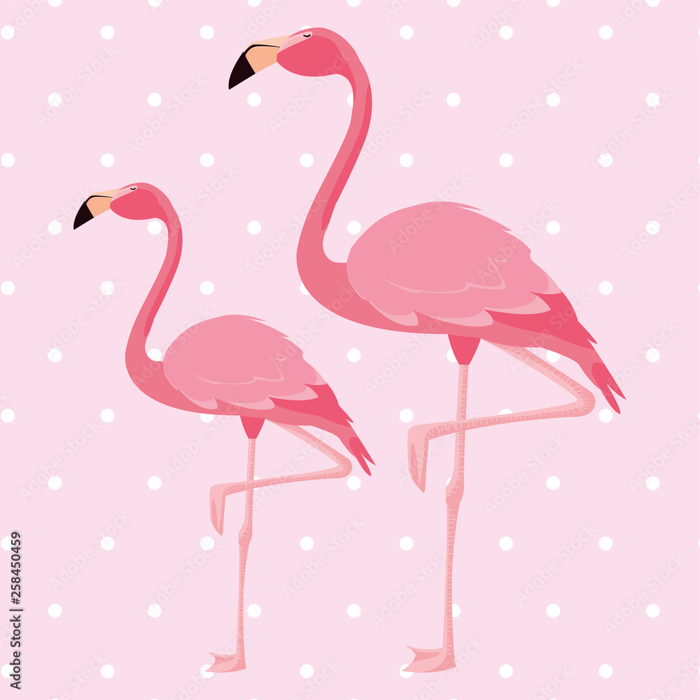 Obraz premium elegant flamingo birds couple dotted background