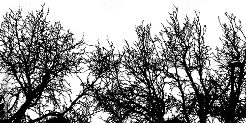 vector trees background.