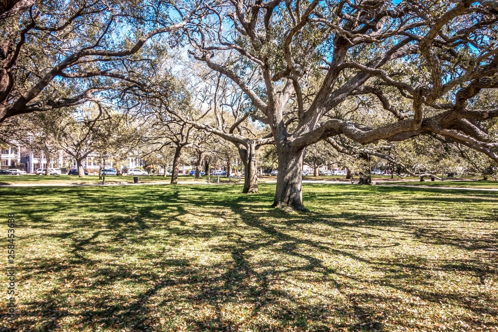 Charleston south carolina historic architecture Charleston south carolina historic architecture