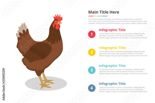 hen infographics template with 4 points of free space text description - vector