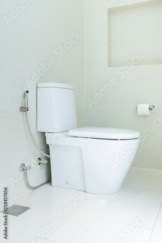 flush toilet with tissue paper hanging on the wall