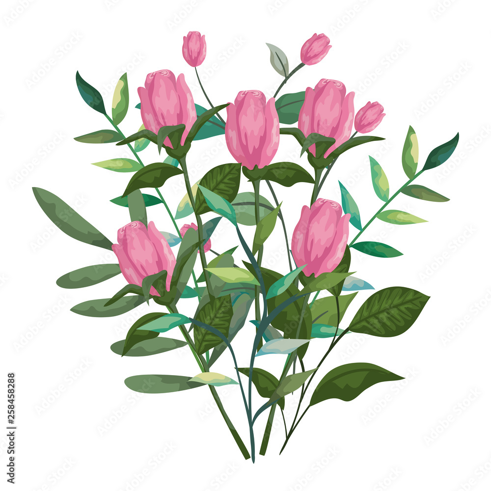 Fototapeta premium beautiful roses and leafs decoration