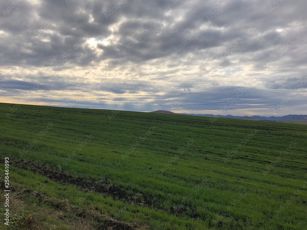 Obraz premium Алтай