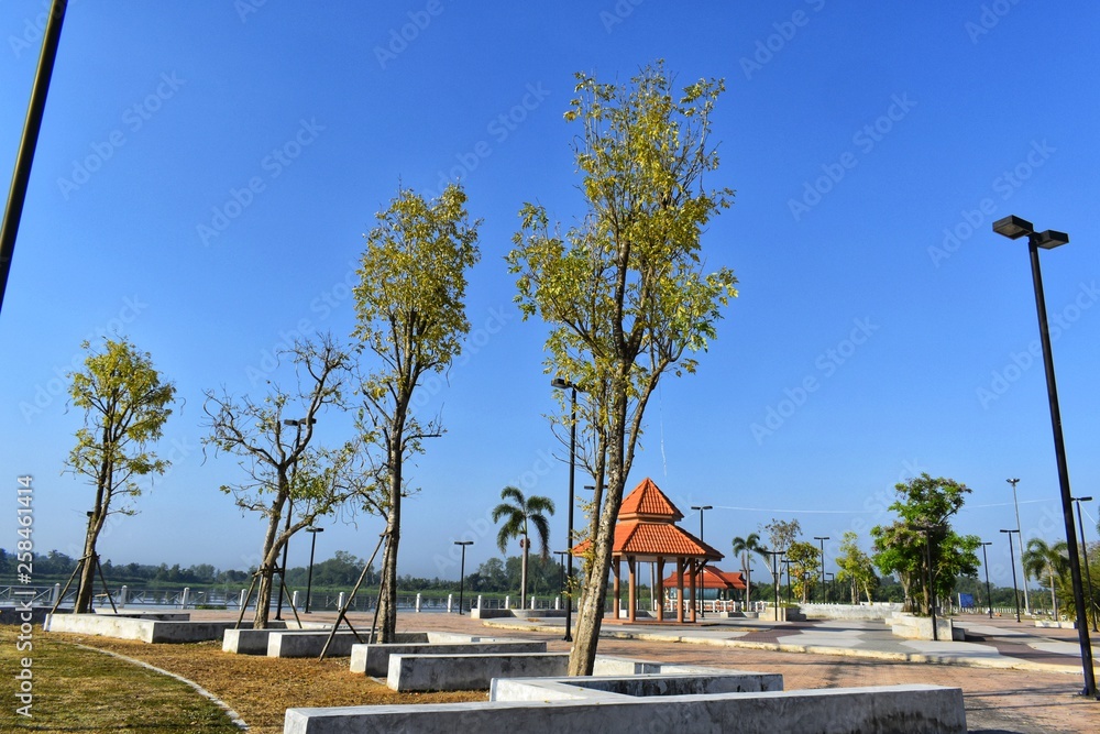 Fototapeta premium sun and see ,public park