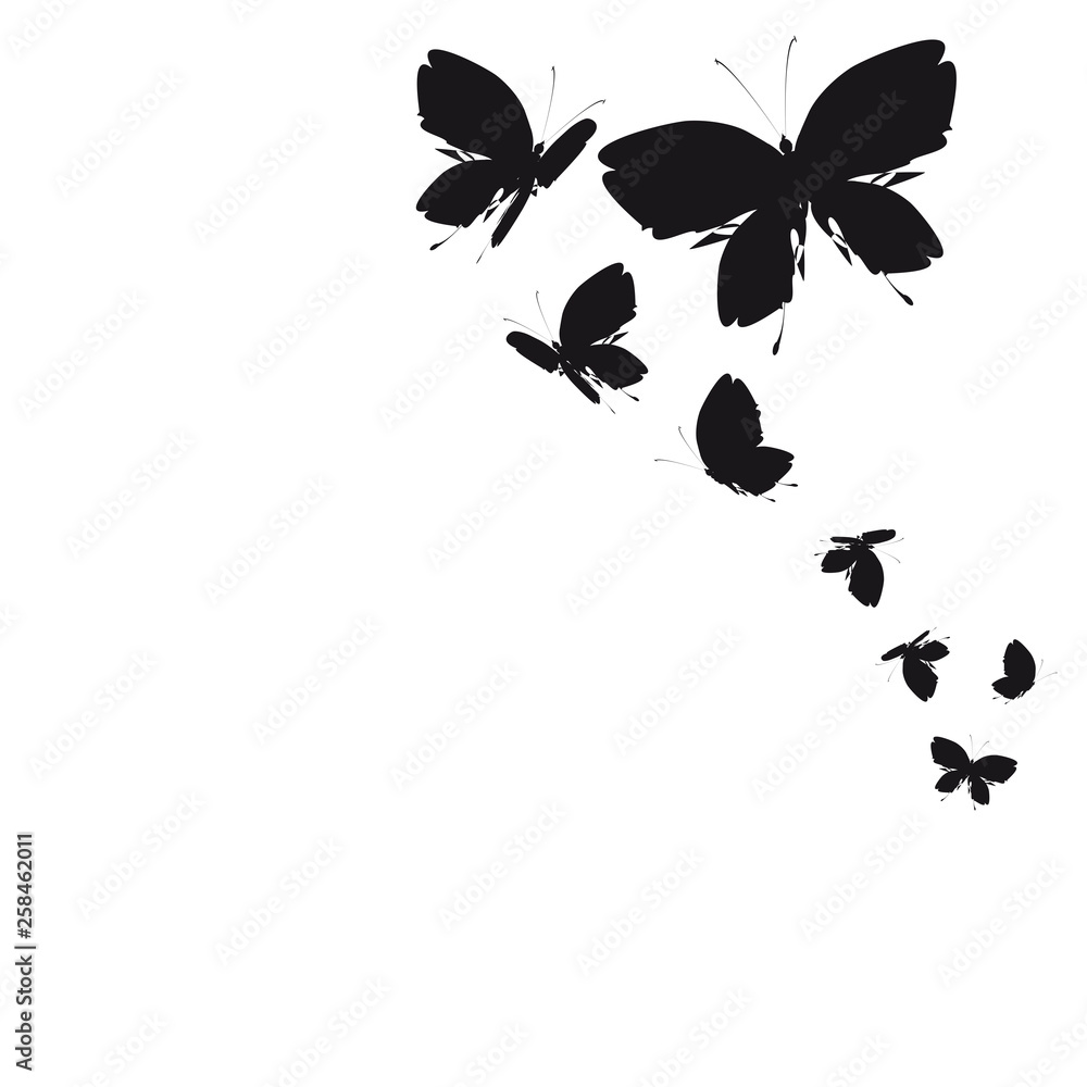 Fototapeta premium 1952