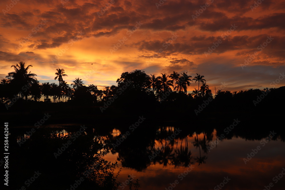 Obraz premium The Sunset