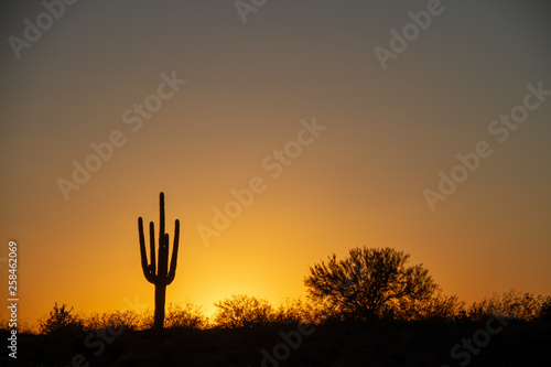 The sun setting over the desert under a cloudless sky with a saguaro cactus in the foreground.